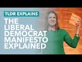 The Liberal Democrat Manifesto Explained (2019 Election) - TLDR News