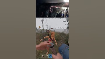 free loot delivery #rust #rustpvp #rustgame #rustshorts #funny