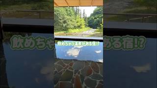 飲泉もできる✨️17個もお風呂で湯めぐりができる温泉宿 #花巻温泉