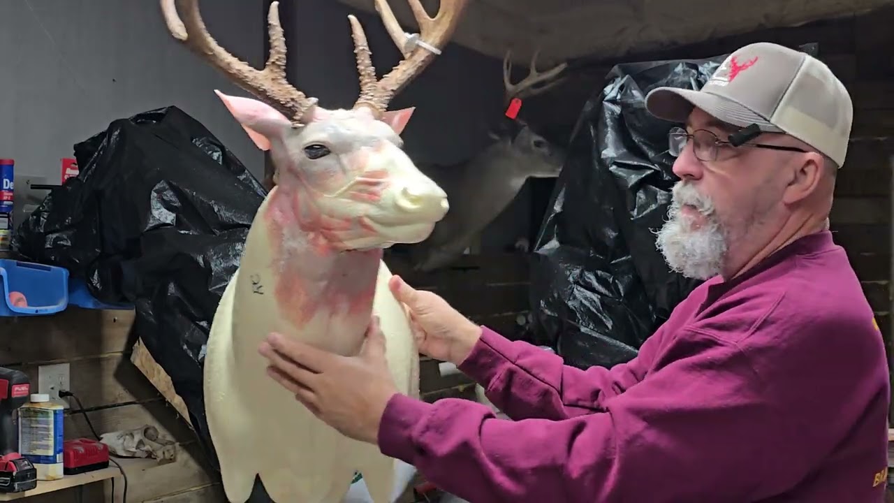 4 key hair patterns for a whitetail deer 