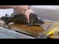 コイ料理で満席になる店「鯉しげ」生き鯉のさばき方 日本 職人技 Japanese carp sashimi shop