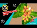 Pheromone Trap #MotionGraphics