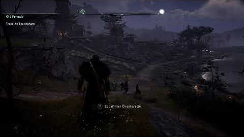 AC Valhalla dissappearing foliage, plants, textures XSX