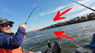 видео: Ловля пелагического судака на воохранилище. Lowrance active target 2 картинка: Ловля пелагического судака на воохранилище. Lowrance active target 2