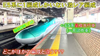 【遭遇確率1/46】E5系に1編成しかいない激レア編成に乗ってきた　#東北新幹線  #e5系  #レア車