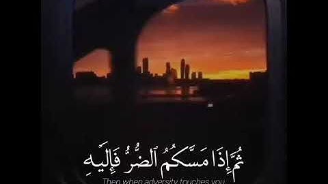 سورة النحل (53)✨