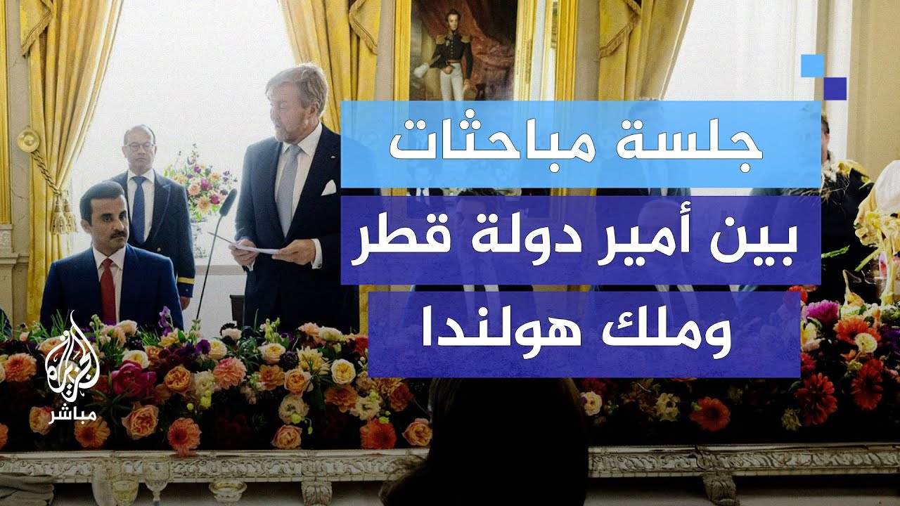 جلسة مباحثات بين أمير دولة قطر وملك هولندا
