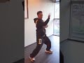 Donnie Yen Practicing Wing Chun