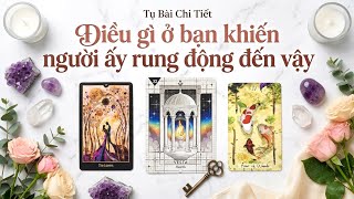Download lagu Điều gì ở bạn khiến người ấy rung động đến vậy 🥰❤️🫣 #vtarot #xemtarot #tarotreading 