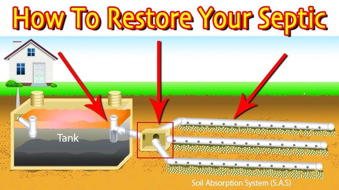 Homemade Septic System Treatment You