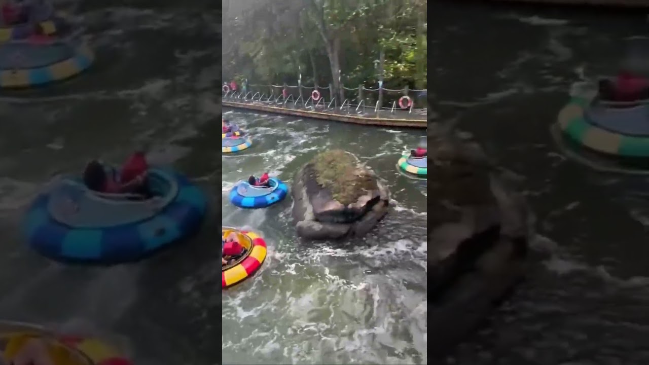 Bumper Boats 