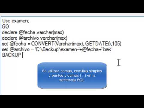 Backup Automaticos SQL