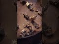 Secret Gold Deposits in Nature