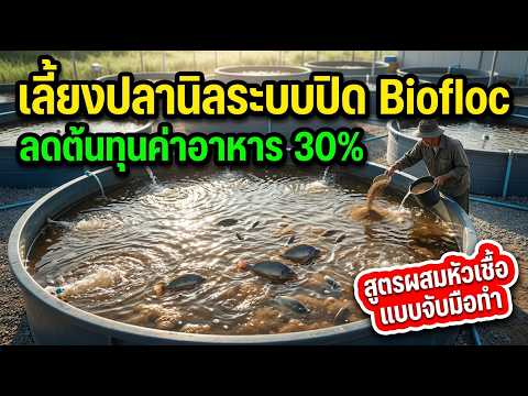 เลี้ยงปลานิลระบบปิด Biofloc ไบโอฟลอค เผยสูตรผสมหัวเชื้อและวิธีดูแลจนปลาโต