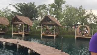 Bubble Forest Thailand Don Burubuf