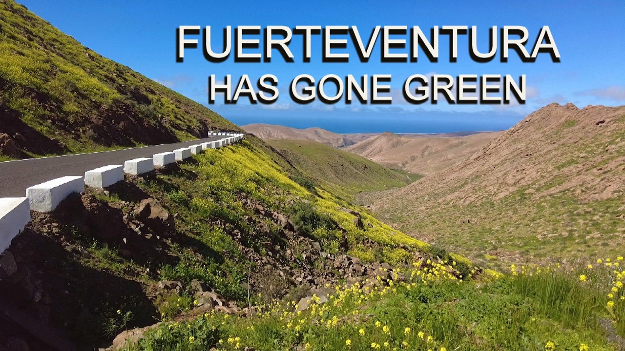 Фуэртевентура стала экологически чистой.