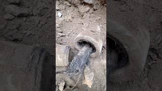 They Find They’re Way In! #plumbing  #sewer #spokane