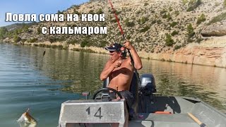 Ловля сома на квок с кальмаром / Clonk & Calamari Ловля сома на квок с кальмаром / Clonk & Calamari