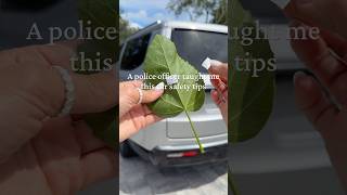 Sharing my go to safety tips for women when parking in sketchy areas!#carhacks #safety #staysafe