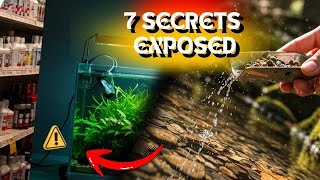 7 Aquarium Secrets Pet Stores Never Want You to Know
