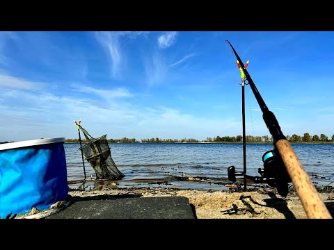 Видео: РЫБАЛКА В ОКТЯБРЕ. КАК Я ЛОВЛЮ КОГДА НЕ КЛЮЕТ. Осенняя рыбалка на фидер