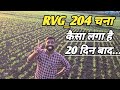 Rvg204      20           rvg204