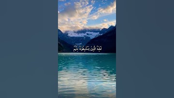 واتس اب قران كريم القارئ ياسر دوسري (سوره النساء)