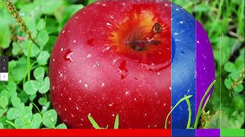 jquery로 게이지, 로딩 바, 마우스 스크롤 애니메이션 예제