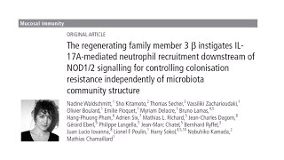 IL-17A mediated neutrophil recruitment for controlling colonisation