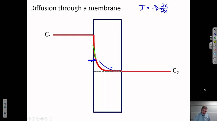 Diffusion: Steady State vs Transient {Texas A&M: Intro to Materials (MSEN 201)}