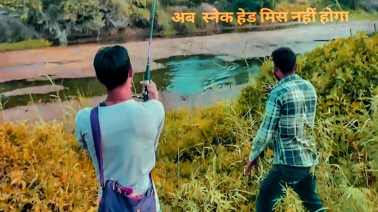 Snakehead Best fishing video || Best frog || How to catch snakehead II 🎣