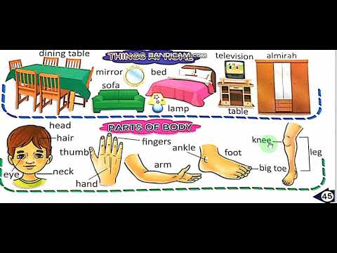Nursery parts of body pg 45 and 3 letter rhyming words ''ad'' - YouTube