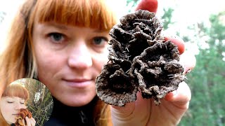 видео: ЕЩЕ БОЛЬШЕ ХОРОШИХ И КОВАРНЫХ ГРИБОВ: Перечный гриб, телефора, мухомор пантерный, сыроежка картинка: ЕЩЕ БОЛЬШЕ ХОРОШИХ И КОВАРНЫХ ГРИБОВ: Перечный гриб, телефора, мухомор пантерный, сыроежка