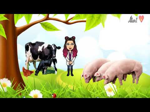 Introducción a la Medicina veterinaria