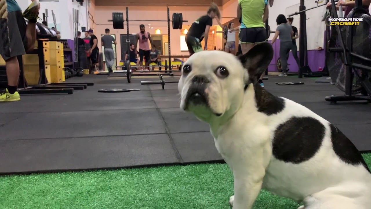 Home Hangar193 Crossfit Sao Paulo Brazil
