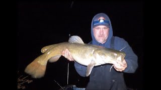 Caught the Lake Lanier CATFISH GRAND SLAM!!!