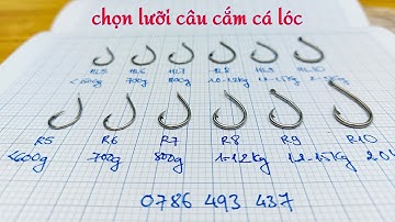 CÁCH CHỌN LƯỠI CÂU CẮM CÁ LÓC cho phù hợp nhất với nhu cầu sử dụng