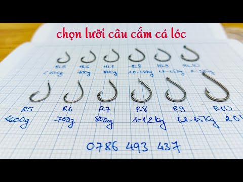 CÁCH CHỌN LƯỠI CÂU CẮM CÁ LÓC cho phù hợp nhất với nhu cầu sử dụng