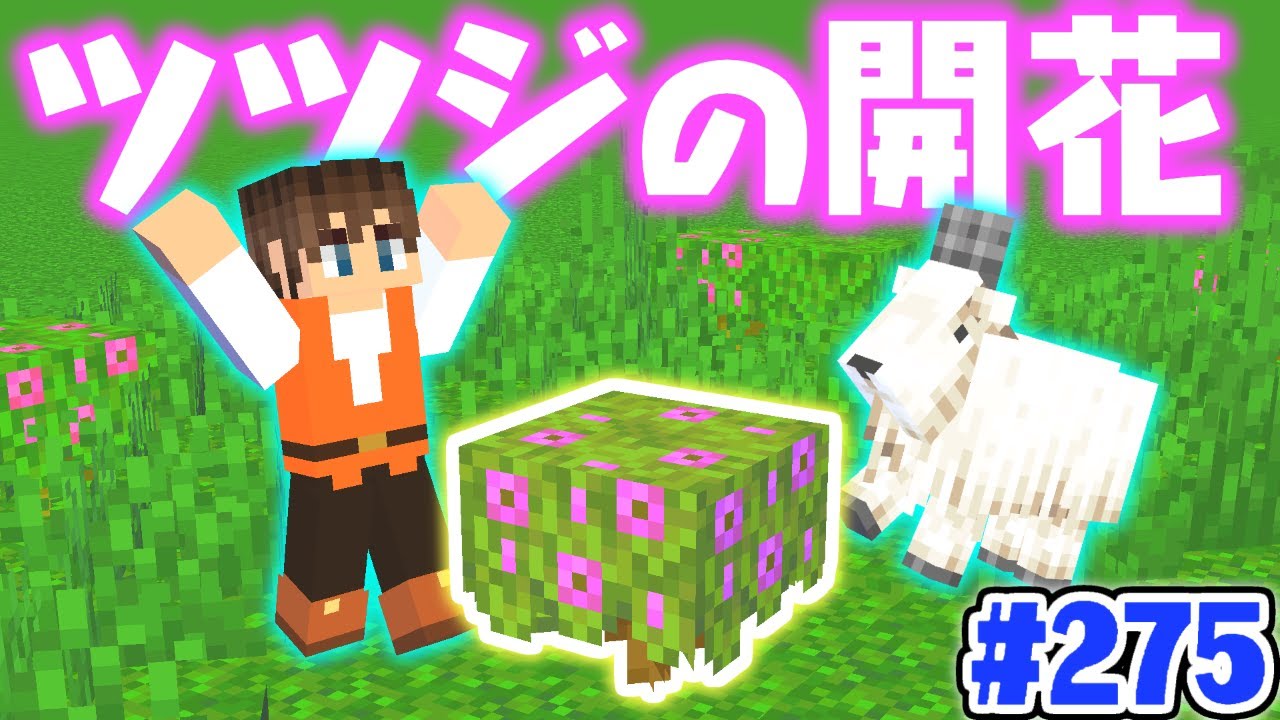 新たな植物を咲かせよう 苔ブロックからツツジの花 マイクラ実況part275 マインクラフト Youtube 新たな植物を咲かせよう 苔ブロックからツツジの花 マイクラ実況part275 マインクラフト Youtube