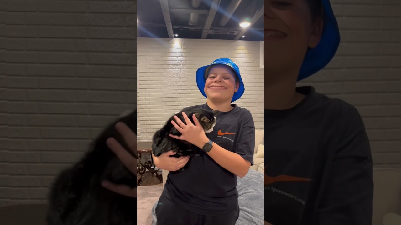 How many cats can hold me? Credit Even C    