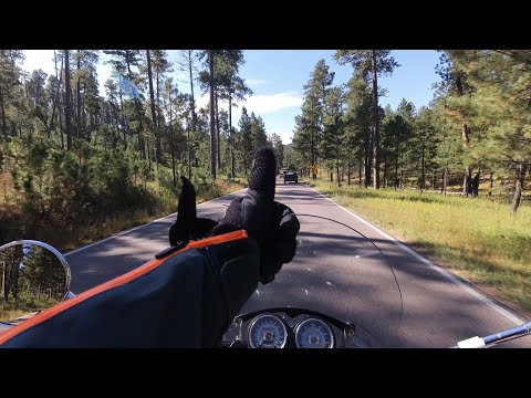 Custer State Park Riding! (South Dakota)