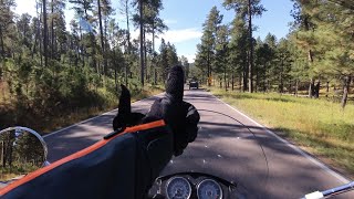 Custer State Park Riding! (South Dakota)