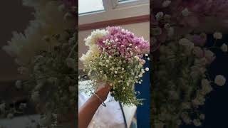 Syoutu.be4Mzdyk8Gk?Silrzeqvn7Nbxpcqui Flowers