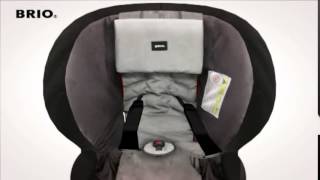 Brio Zento Brio Zento
