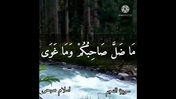 من سورة النجم اجمل قراءة هادئة اجمل حالات واتس اب