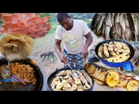 Exciting Crocodile Territory Night Hunt: Jamaican-style Garlic Butter Pink Oyster 🍄 Jerk Fish