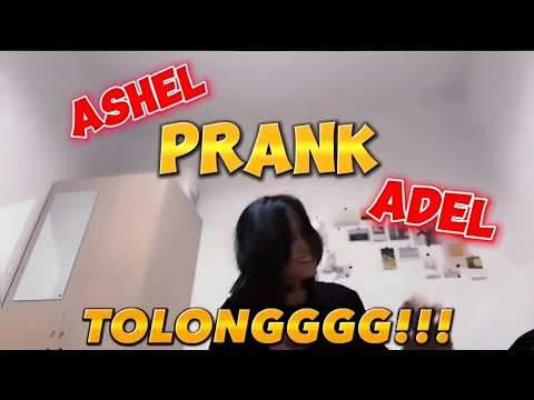 JKT48 ASHEL PRANK ADEL