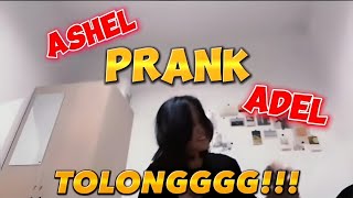 JKT48 ASHEL PRANK ADEL