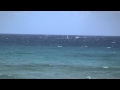 Humpback Whales breeching in front of Maui Sands Resort