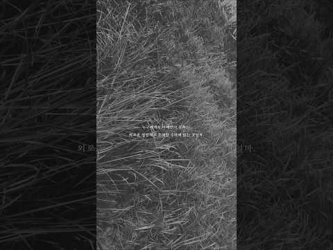 0ther (아더) - 이상한 <strong>나라에</strong> 오신 것을 환영합니다. #3